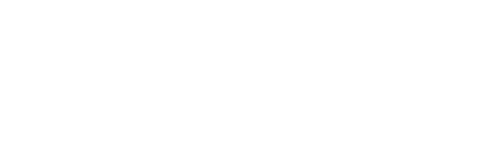 AutomotivePIM-Logo-white AutomotivePIM Logo